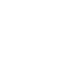 program