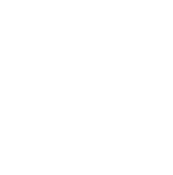 program